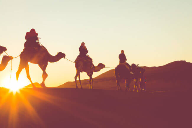 wadi rum bedouin campsite tours